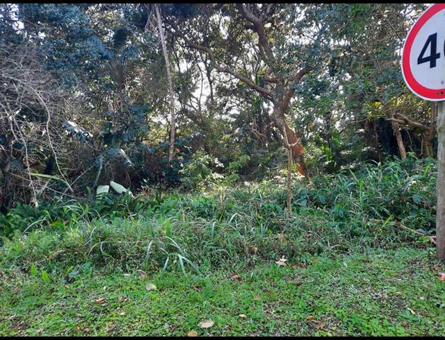LAND FOR SALE IN PALM BEACH